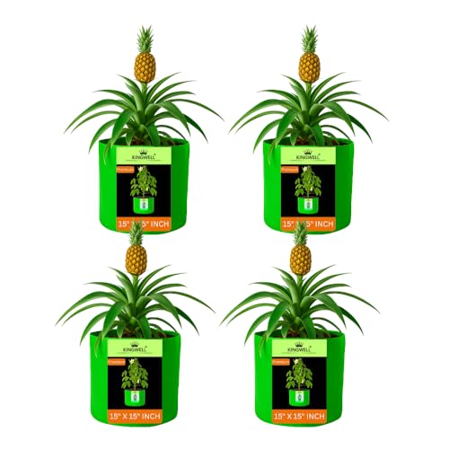 Image of Kingwell grow bags 15x15 inch pack of 4 Grow Bag For Terrace Garden Leafy Vegetable Plant Grow Bags Fruits Growing Containers For terrace Gardening