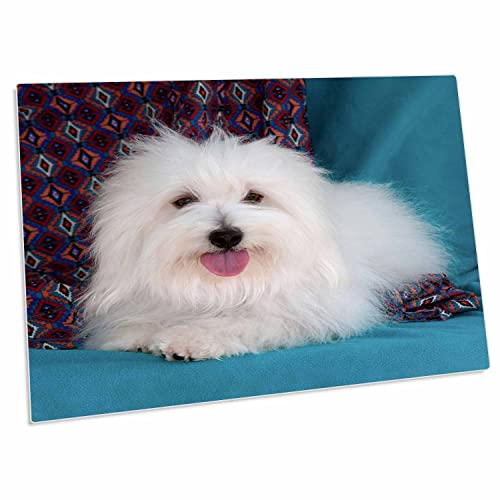 3dRose Desk Pad Coton de Tulear 58x40 cm
