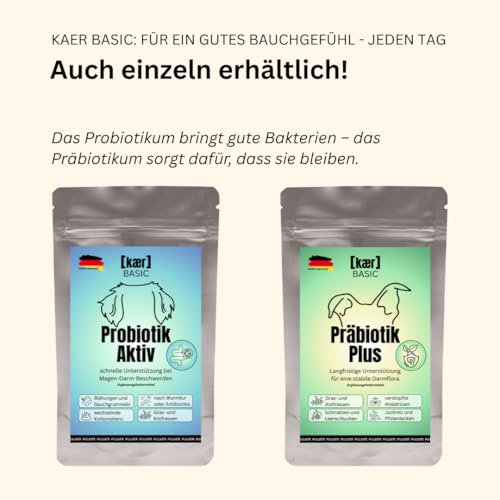 kaer basic Probiotik & Präbiotik Kombi-Sparset für Hunde – rundum Starke Darmbalance bei Kotfressen, Juckreiz, Sodbrennen, sensibler Verdauung & zur Darmsanierung – 2×200g Pulver
