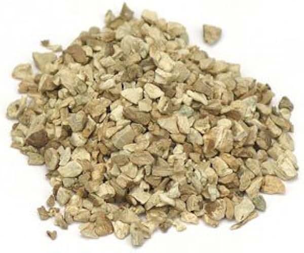 каменный корень коллинсония канадская. канадские бады. коллинсония канадская бад. каменный корень коллинсония канадская. каменный корень коллинсония канадская.