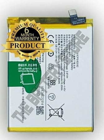 Image of THE BATTERY STORE Original B-O3 Battery for VIVO Y73S Battery with 6 Month Warranty**** (PPP113)