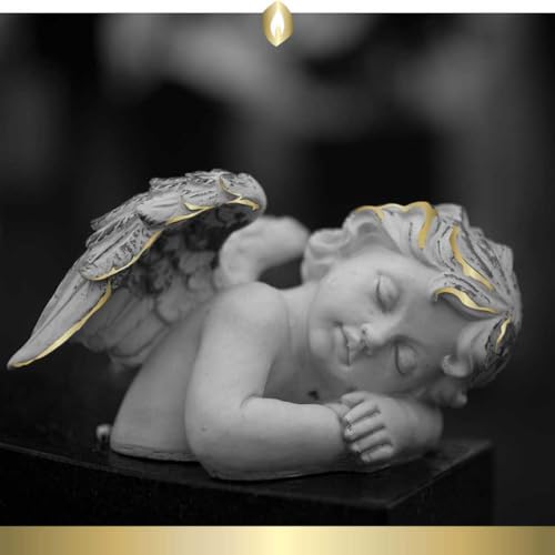 6er Set HOFER GRABKERZEN 7 Tage Brenndauer - Das Original [Gold Select] regenfest | Kerzen mit Deckel | Grablicht, Friedhofskerze mit Motiv | Kerzen für Grabdeko