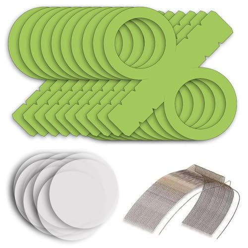 CREATIV DISCOUNT Laternen Bastelset für Grüne Rund-Laternen, 10 hellgrüne Rohlinge, 20 runde Transparentpapierzuschnitte, 10 Laternenbügel, Ideal für 10 Martinslaternen