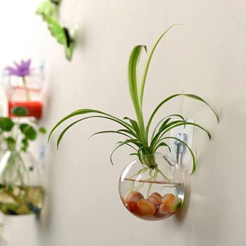 WayGlory Vaso in vetro trasparente da appendere alla parete, vaso da fiori da appendere alla parete, vaso da fiori per piante, terrari e terrari (stile 1