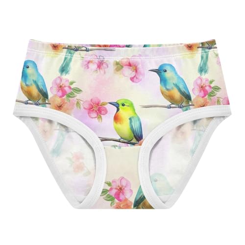 Joisal Watercolor Birds Vibrant Flowers Panties Little Girl Toddler Underwear Floral Cotton Cartoon Briefs Undies Kids 2t