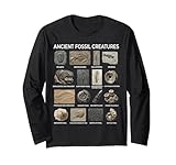 Tableau fossile éducatif avec d'anciennes créatures préhistoriques telles que les trilobites, les ammonites, les euryptérides, les empreintes de ptérosaures, les crinoïdes, les fossiles nautiloïdes, et plus encore. Parfait pour les fans de paléontologie, les collectionneurs de fossiles et les amateurs d'histoire naturelle.