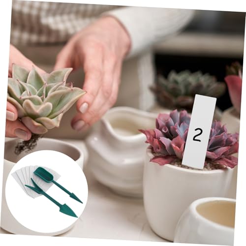 Herramientas de jardinería manual 2 piezas para suculentas miniatura 5