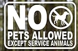 NASTUDIO - NO PETS ALLOWED EXCEPT SERVICE ANIMALS - (8 X 5 - White) - Vinyl Decal Sticker Business Sign, Door, Window