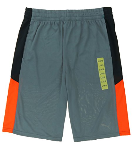 PUMA Youth Boys Lifestyle Athletic Short (Large 14/16, Smoke Grey / Orange)
