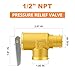 GASHER 1PCS Brass Temperature Pressure Relief Valve with 1/2