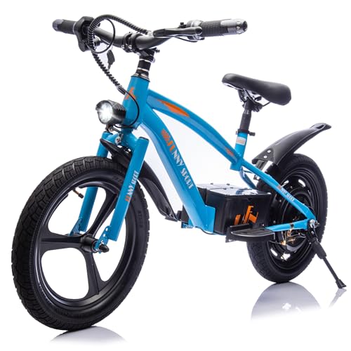 Track Seven 24V Electric Bike