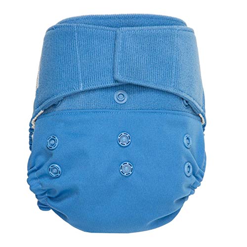 GroVia Reusable Hybrid Baby Cloth Diaper Hook & Loop Shell (Topaz)