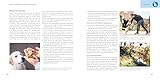 Welpen-Erziehung: Der 8-Wochen-Trainingsplan für Welpen. PLUS: Jung-Hund-Training vom 5. bis zum 12. Monat. Der Top-Seller - über 250.000 verkaufte Exemplare! (GU Welpen)