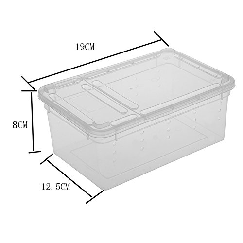 Hypeety Reptile Box For Snake Turtle Breeding Box Case Feeding Hatching Container #TOP1