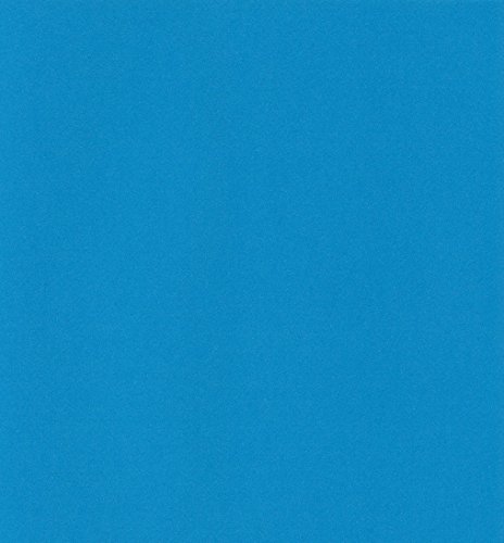 エスケント ケント紙 スターカラー 八切 ブルー 100枚 5737008