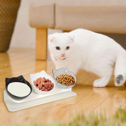 Cuenco de gatos ergonómico para cuidar la salud de tu gran compañero 3