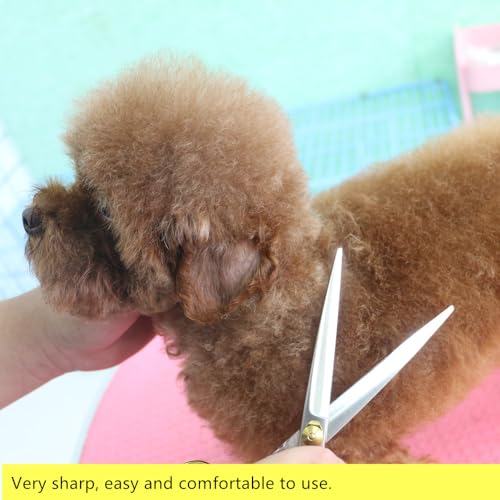 HASHIMOTO Dog Scissors for Grooming, Straight Dog Shears, 8.0 inch for Large Dog Trimming, Light Weight, Balanced, Ergonomically Designed for Professional Pet Groomers or Family DIY Use. HASHIMOTO Dog Scissors for Grooming, Straight Dog Shears, 8.0 inch for Large Dog Trimming, Light Weight, Balanced, Ergonomically Designed for Professional Pet Groomers or Family DIY Use.