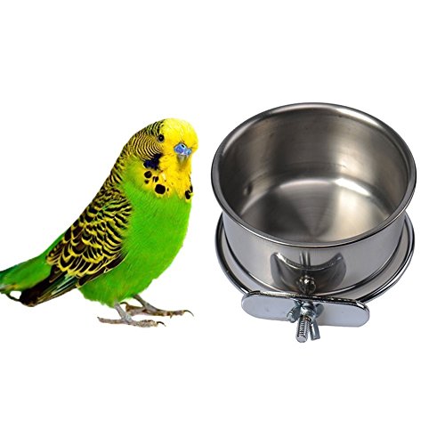 Hypeety Soporte de abrazadera de acero inoxidable para colgar alimentos y beber, para pájaros, loros, guacamayos, grises africanos, periquitos, cacatúas, conure Lovebirds y pinzones Cover