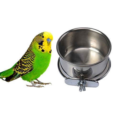 Hypeety Soporte de abrazadera de acero inoxidable para colgar alimentos y beber, para pájaros, loros, guacamayos, grises africanos, periquitos, cacatúas, conure Lovebirds y pinzones