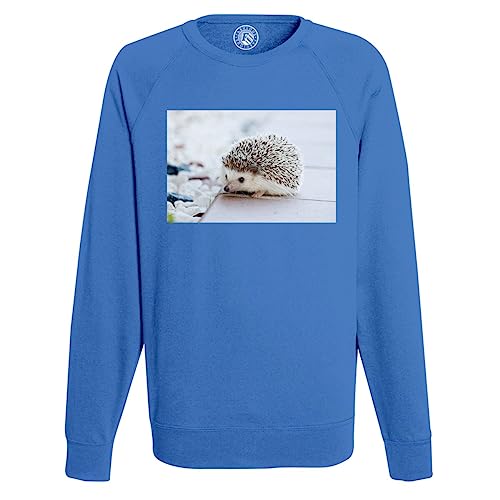 Sweatshirt herisson blanc homme pull mignon animaux jardin
