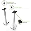 Kanto SP26PLW 26 Inch Bookshelf Speaker Stand - Low Profile - 2 Pack (White) #1