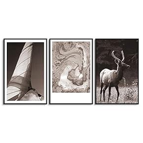 signwin 3 Piece Framed Canvas Wall Art Black...