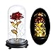 Produktbild Urmagic 24K Vergoldet Die Schöne und das Biest Rosen-Set,Rote mit LED Lichterkette, einige abgefallene Blütenblätter, Schön Unechte Blumen,Verzauberte Rose Set mit Beleuchtung in einer Glaskuppel