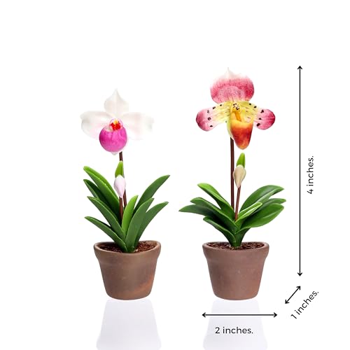 Set de 2 imanes decorativos orquídea Paphiopedilum 3D miniatura 2