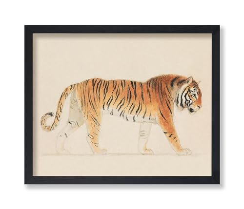 Poster Master Vintage Tiger Poster - Retro Pacing Tiger Print - Neutral Colors Art - Gift for Him, Her, Veterinarian, Animal Lover - Decor for Living Room, Nursery, Playroom - 8x10 UNFRAMED Wall Art