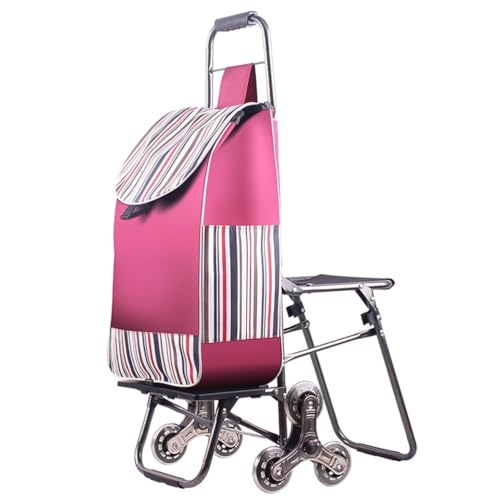 Foldable Shopping Trolley with Seat