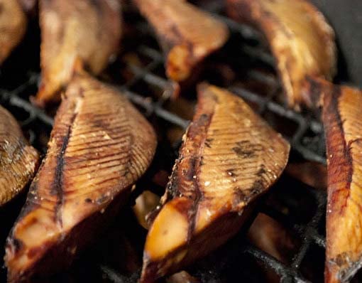 Amazon | ドットわん カツオ薫り角ステーキ 70g | ドットわん