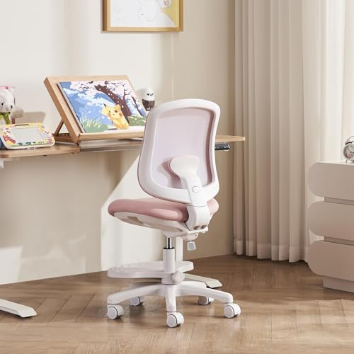chirvana Ergonomic Study Chair