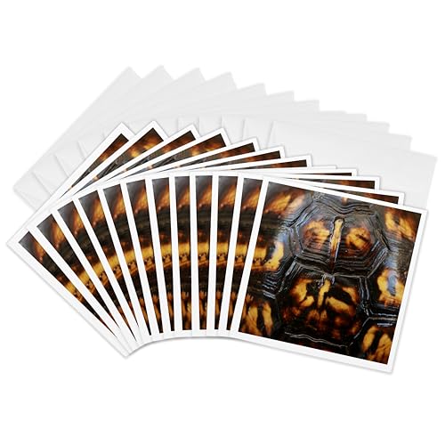 Cartes de vœux écaille de tortue 15x15 cm lot de 12 cartes