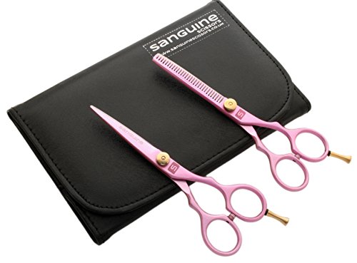 Ciseaux de coiffeur pour couper et effiler 14 cm - Matériel de coiffure avec étui rigide