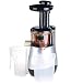 Produktbild Rosenstein & Söhne Entsafter: Elektrischer Slow Juicer, 60 Umdrehungen/Min, leiser Motor, 150 Watt (Saftmaschine)