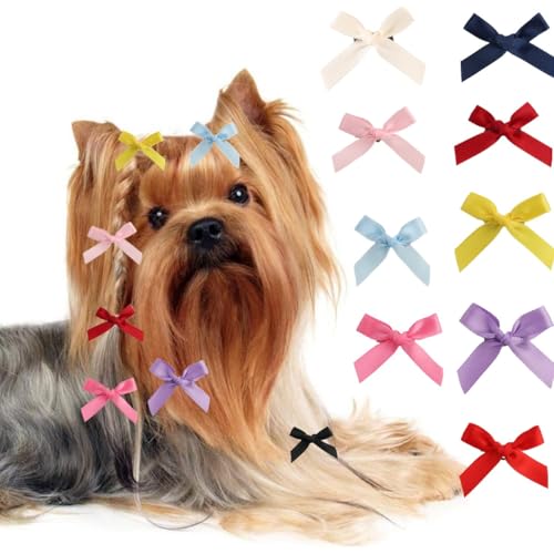 Piccoli fiocchi progettati specificamente per razze giocattolo e cuccioli come Yorkies, misurano circa 3,8 cm di larghezza