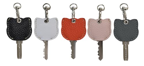 [kaupili] L[P[X L[Jo[ 5Zbg {v L[z_[ v ϋv h B fB[X  LfUC(Y7)