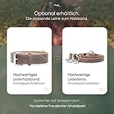 FREUDENTIER Hundehalsband aus Leder, Made in Holland, gefüttert & super komfortabel, hochwertiges breites Lederhalsband aus Vollnarbenleder, Model “Amstelpark” (47-57cm Halsumfang, Dark Chocolate)