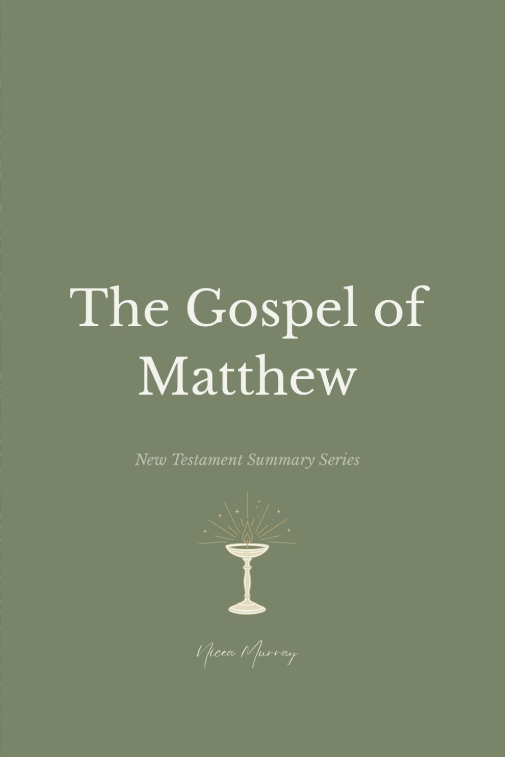 The Gospel of Matthew: Volume 1 (New Testament Summary Series)