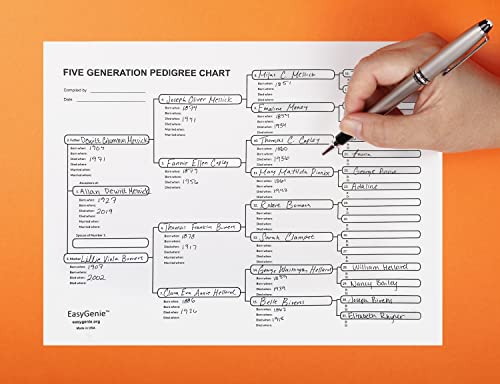 Easygenie Five Generation Pedigree Charts (30 Acid-Free Sheets, 8.5 By 11 Inches) Genealogy Forms For Ancestry thumb #3
