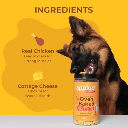 Image of Crunch-a-Licious Chicken & Cheese Dog Biscuits for Puppies & Adult Dogs | Gluten-Free Crunchy Dog Treats Made with Real Chicken Protein | Healthy Training & Reward Snacks | 800g