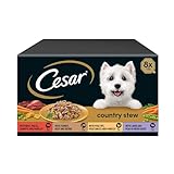 Cesar Country Stew Adult Wet Dog Food, Special Selection, Pack of 3 (3 x 8 Trays x 150 g)