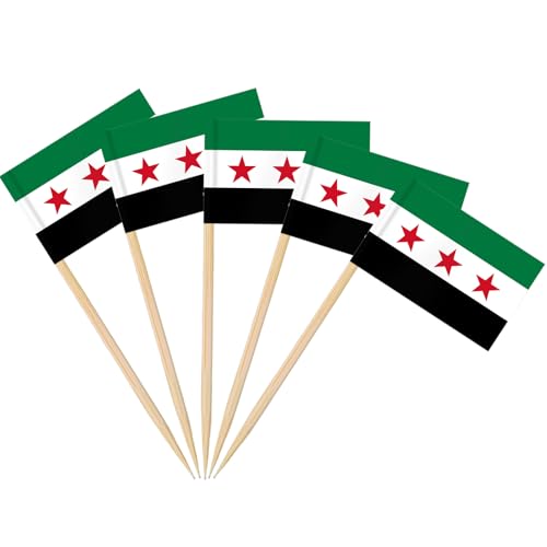 AhfuLife 100PCS Drapeau Cure-dent Syrie, Pic Drapeau Syrien pour Topper de Coupe, Cure Dent Drapeaux Syria pour Jardin Bar Fête Fourniture Pub Décoration Cake Toppers Sandwich