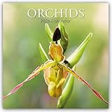 Orchids – Orchideen 2026 – 16-Monatskalender: Original Gifted Stationery-Kalender [Mehrsprachig] [Kalender] (Wall-Kalender) - Gifted Stationery Co. Ltd 