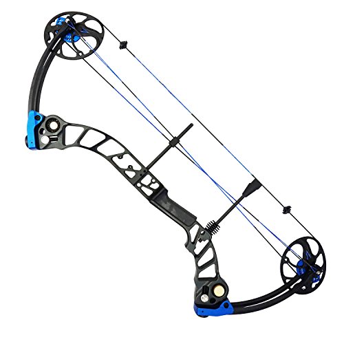 Check 13 Compound Bow Under 300 Boost Your Shooting Skill!