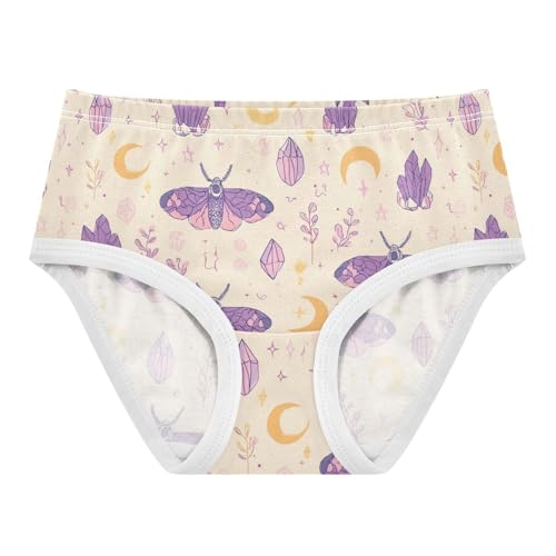 Wusikd Purple Moths Girls' Underwear Cotton Moon Girls Briefs Soft Toddler Underwear 2T