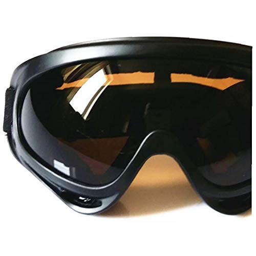 Occhiali da sci antivento Sci Snowboard Occhiali