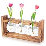 Fentar Ableger Pflanzen Glas, Propagation Station mit Vintage Holzsockel, 3Stk Kleine Vasen für Tischdeko Wohnkultur, Hydroponische Vase, Schön Vermehrungsstation Pflanzen für Hydrokultur Tischdeko