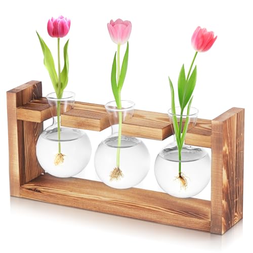 Fentar Ableger Pflanzen Glas, Propagation Station mit Vintage Holzsockel, 3Stk Kleine Vasen für Tischdeko Wohnkultur, Hydroponische Vase, Schön Vermehrungsstation Pflanzen für Hydrokultur Tischdeko
