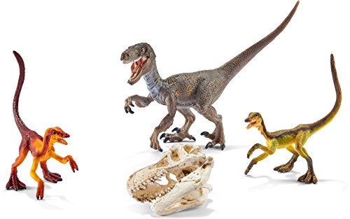 Schleich 42259 - Velociraptor auf der Jagd – Bild 3